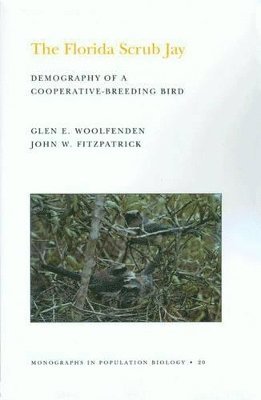 Glen Everett Woolfenden, John W. Fitzpatrick - Florida Scrub Jay, Häftad