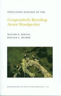 bokomslag Population Ecology of the Cooperatively Breeding Acorn Woodpecker. (MPB-24), Volume 24