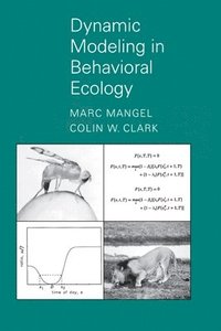 bokomslag Dynamic Modeling in Behavioral Ecology