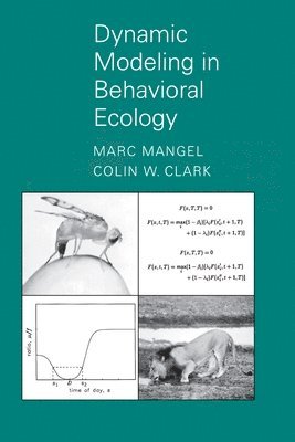 Marc Mangel, Colin Whitcomb Clark - Dynamic Modeling in Behavioral Ecology, Häftad