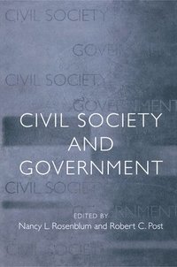 bokomslag Civil Society and Government
