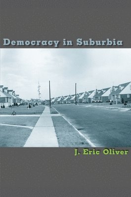 Democracy in Suburbia 1