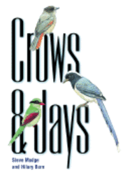 bokomslag Crows and Jays