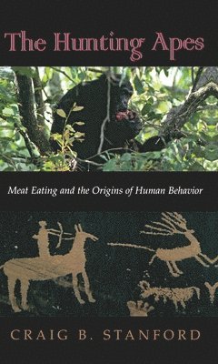 Craig B. Stanford - Hunting Apes, Häftad