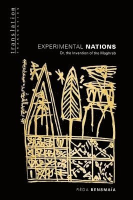 Réda Bensmaïa, Reda Bensmaia - Experimental Nations, Häftad