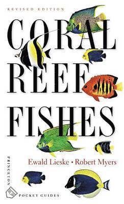 Coral Reef Fishes 1