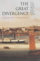 bokomslag Great divergence - china, europe, and the making of the modern world econom