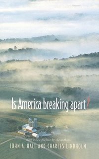 bokomslag Is America Breaking Apart?