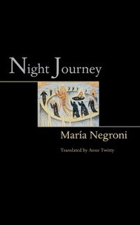 bokomslag Night Journey
