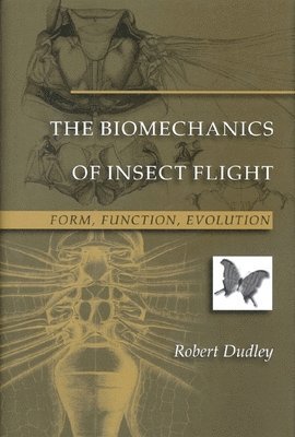 Robert Dudley - Biomechanics of Insect Flight, Häftad