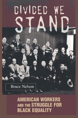 Bruce Nelson - Divided We Stand, Häftad