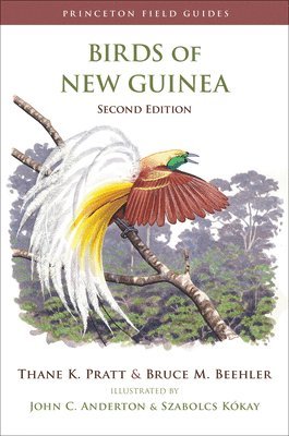 Thane K. Pratt, Bruce M. Beehler - Birds of New Guinea, Häftad
