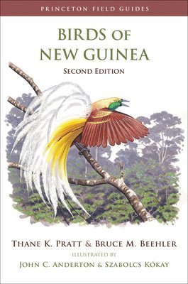 Birds of New Guinea 1