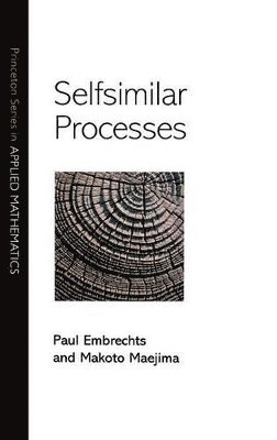 bokomslag Selfsimilar Processes