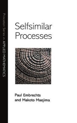 Selfsimilar Processes 1