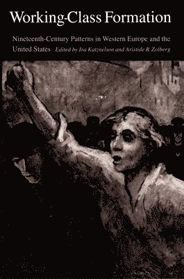 Ira Katznelson, Aristide R. Zolberg - Working-Class Formation, Häftad