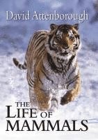 The Life of Mammals 1
