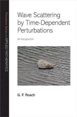 G. F. Roach - Wave Scattering by Time-Dependent Perturbations, Inbunden