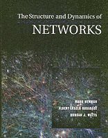 Mark Newman, Albert-László Barabási, Duncan J. Watts - Structure and Dynamics of Networks, Häftad
