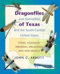bokomslag Dragonflies and Damselflies of Texas and the South-Central United States