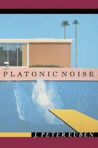 bokomslag Platonic Noise