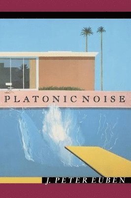 J. Peter Euben - Platonic Noise, Häftad