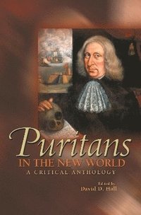 bokomslag Puritans in the New World