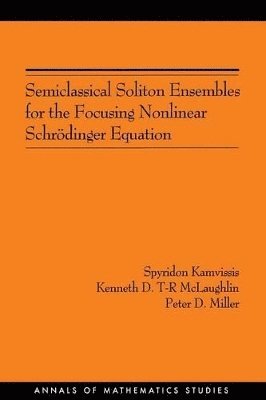 bokomslag Semiclassical Soliton Ensembles for the Focusing Nonlinear Schrdinger Equation