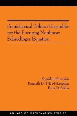 Spyridon Kamvissis, Kenneth D.T-R McLaughlin, Peter D. Miller, Kenneth D. T-R McLaughlin - Semiclassical Soliton Ensembles for the Focusing Nonlinear Schrödinger Equation, Häftad