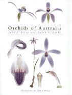 bokomslag Orchids of Australia