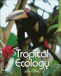 bokomslag Tropical Ecology