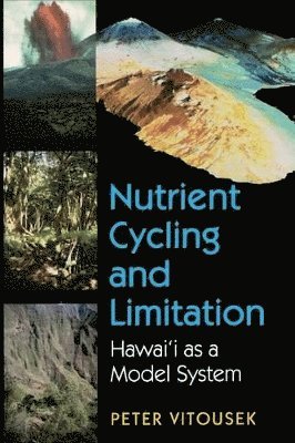 Nutrient Cycling and Limitation 1