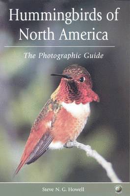 Hummingbirds of North America 1