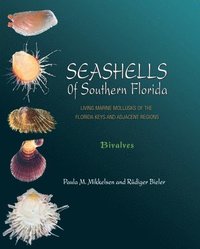 bokomslag Seashells of Southern Florida