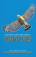 bokomslag A Photographic Guide to North American Raptors