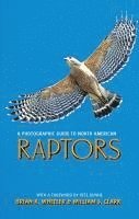 Brian K. Wheeler, William S. Clark - A Photographic Guide to North American Raptors, Häftad