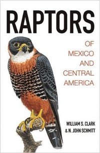 bokomslag Raptors of Mexico and Central America