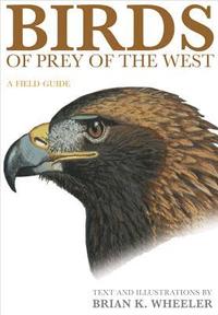 bokomslag Birds of Prey of the West