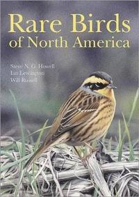 bokomslag Rare Birds of North America
