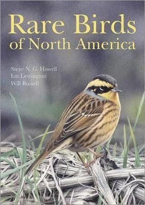 Rare Birds of North America 1