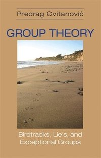 bokomslag Group Theory