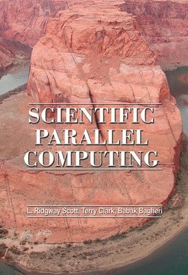bokomslag Scientific Parallel Computing