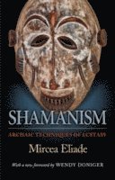 bokomslag Shamanism