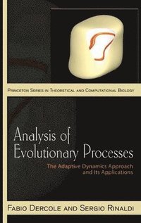 bokomslag Analysis of Evolutionary Processes
