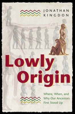 bokomslag Lowly Origin