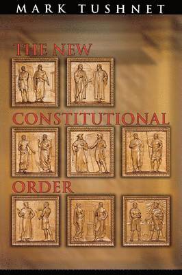 bokomslag The New Constitutional Order