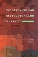 bokomslag Understanding Institutional Diversity