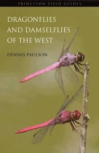 bokomslag Dragonflies and Damselflies of the West