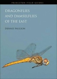 bokomslag Dragonflies and Damselflies of the East