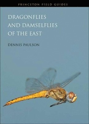 Dragonflies and Damselflies of the East 1